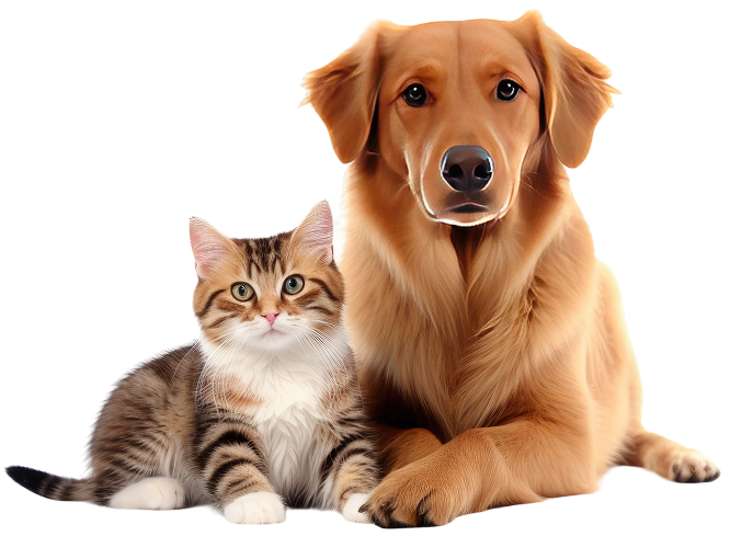 Happy Pets